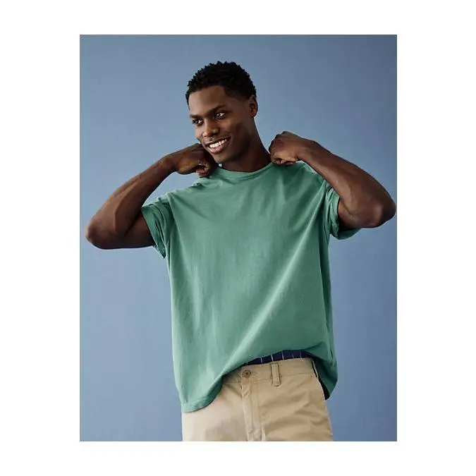 AE Standard Fit Lived-In T-Shirt