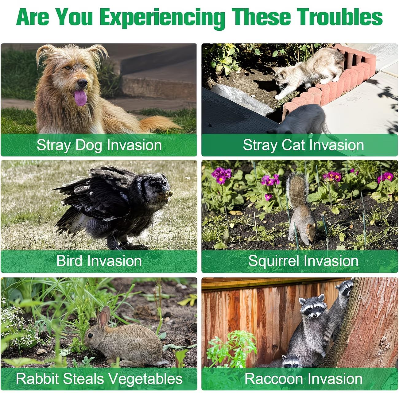 Soundwave technology Animal Repeller, 5 Modes Solar Powered Animal Deterrent with Motion Sensor And Flashing Light Squirrels, Deer Repellent Devices, Rabbit, Fox, Raccoon for Yard Farm Garden