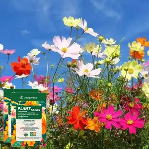 Wildflower Garden Seed Mix – Natural Outdoor Flowers, Easy Growing, Colorful Blooms