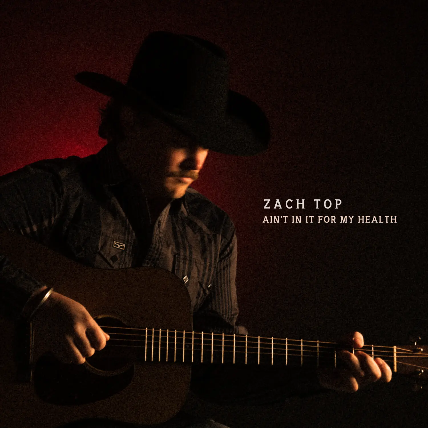 Zach Top - Ain't In It For My Health  [COMPACT DISC - CD]