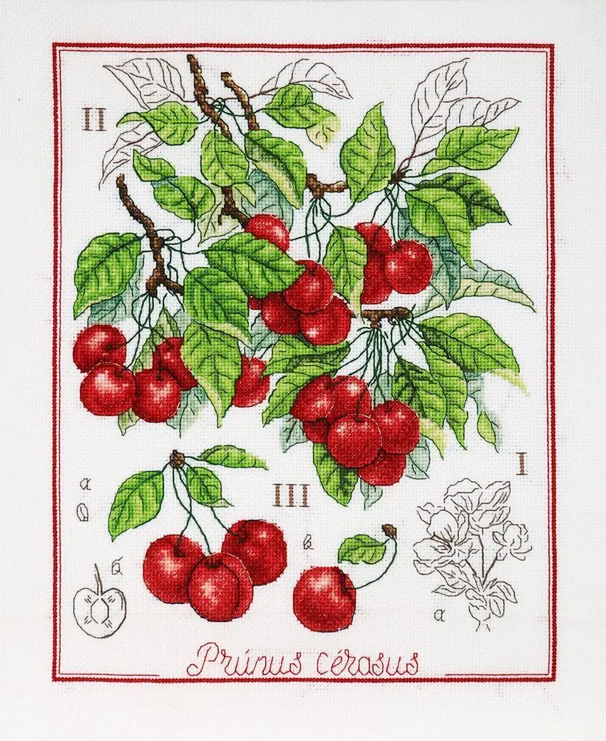 Botanical Battle - Cherry Counted Cross Stitch Kit by Alisena 1274A
