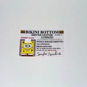 Bikini Bottom SpongeBob License CC Skin - CC Sticker - Waterproof