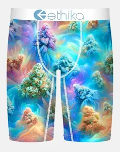 MFAAAG2502 - Sherbert Smoke Ethika Men's Staple Boxer Brief