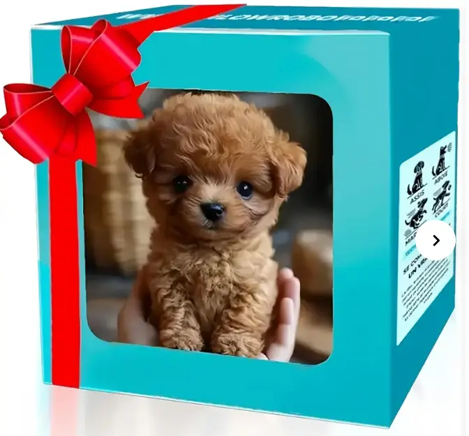 New Realistic Robotic Dog Plush Toy – Interactive Puppy That Walks, Barks & Wags Tail, Adorable Smart Pet Toy for Kids & All Ages, Perfect Christmas Gift for Dog Lovers and Family Fun