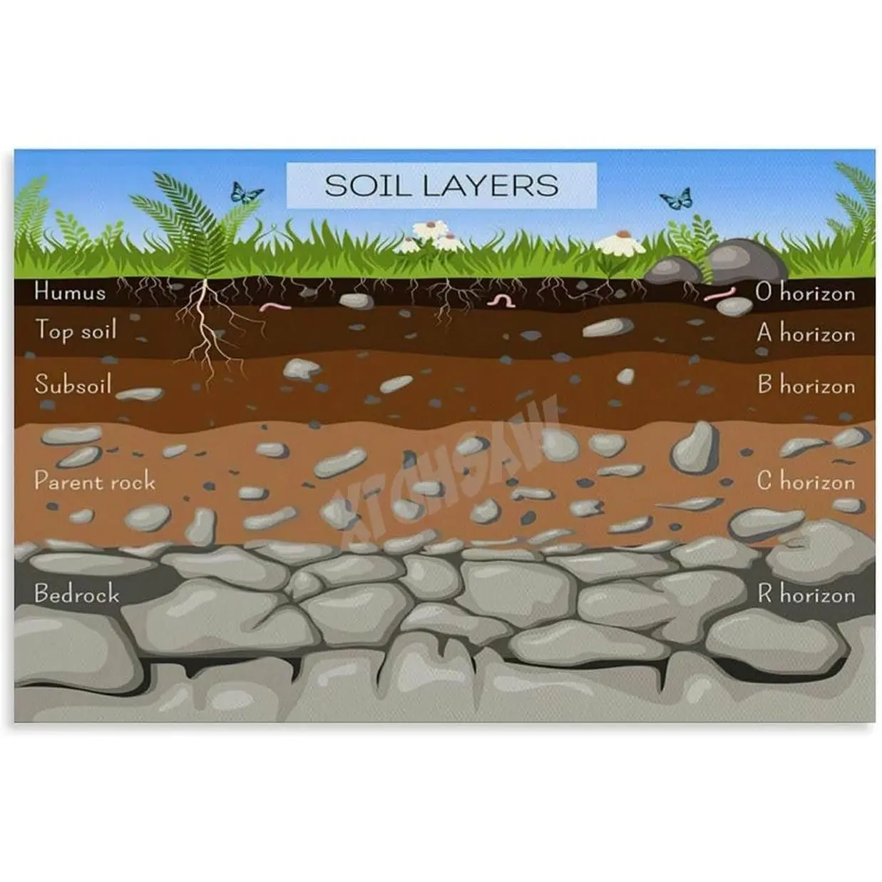 Soil Layers on Earth Poster Geography Knowledge Poster (5) Canvas for Living Room Bedroom Decor 18x12inch(45x30cm) Unframe-style