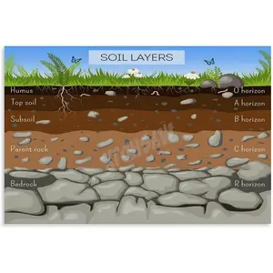 Soil Layers on Earth Poster Geography Knowledge Poster (5) Canvas for Living Room Bedroom Decor 18x12inch(45x30cm) Unframe-style