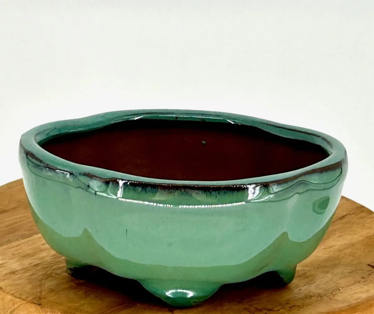 Bonsai Boy of York L146 Light Green Ceramic Bonsai Pot - 5.25x4.0x2.25in Compact Indoor Lotus-Shaped, Easy to Maintain for Design and Botany Lovers