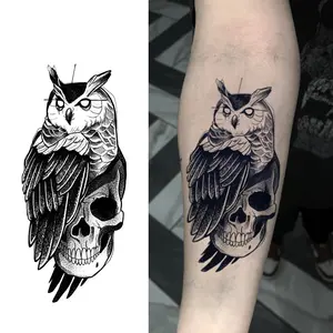 The Owl and the Skull