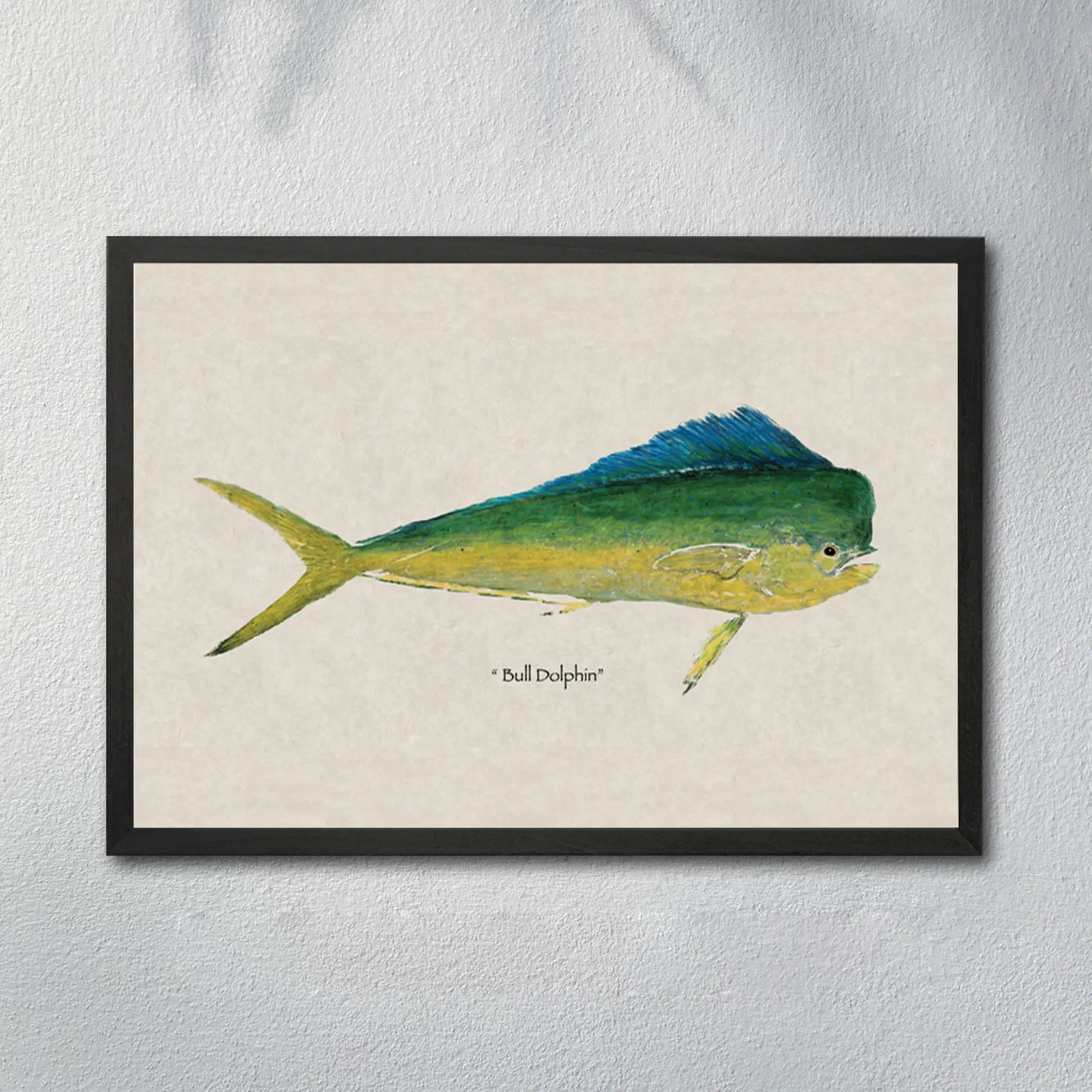Bull Dolphin Fish Gyotaku Poster, Coastal Wall Decor, Fishing Cabin Wall Print, Marine Nature Illustration, Ocean Home Decor