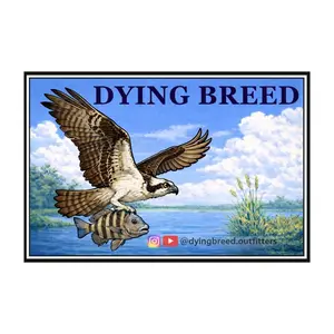 Osprey Sticker