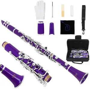 Irin  Flat B Clarinet,Colorful  Clarinet Se B Flat Abs Body, 17 Key Rings  6 Keys, Includes Irin Cloth Box and Standard Accessories, 1 Piece