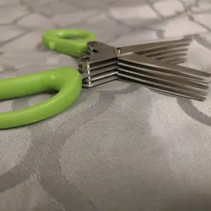 Green Onion Scissors