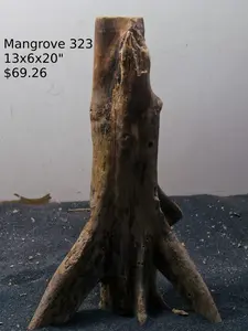 Mangrove Tree Stump 323
