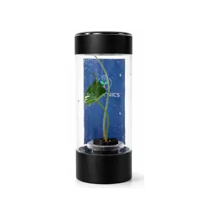 Rare Alocasia Azlanii Variegated Starter Plant - ECPonics Capsule for Collectors, Controlled Environment, Indoor Growth, Reusable Sealed Environment Display (No Shock, Easy to Grow)