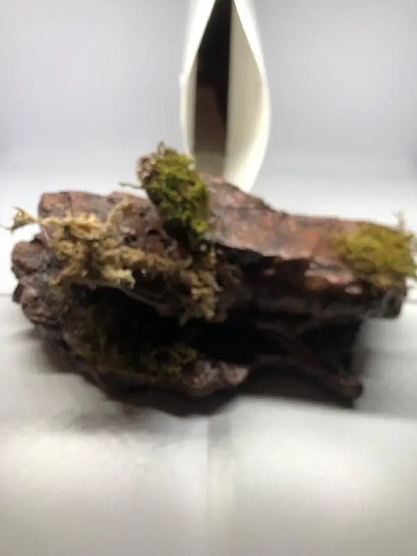 Large Desert Reptile Magnetic Rock Ledges For Terrariums And Cages