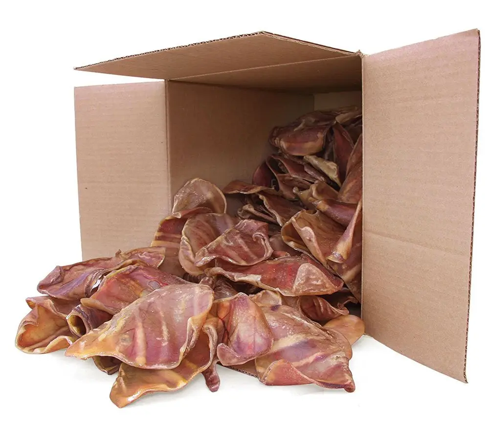 GigaBite Roasted Pig Ears for Dogs by Best Pet Supplies - Natural Healthy Dog Chews, Safe for Puppies & Aggressive Chewers - Whole Slices or Sticks, Cleans Teeth & Gums, Pack of 12 or More
