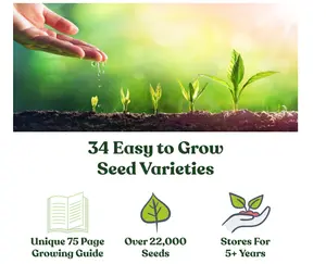 22,000 Non GMO Heirloom Vegetable Seeds, Survival Garden, Emergency Seed Vault, 34 VAR, Bug Out Bag - Beet, Broccoli, Carrot, Corn, Basil, Pumpkin, Radish, Tomato, More