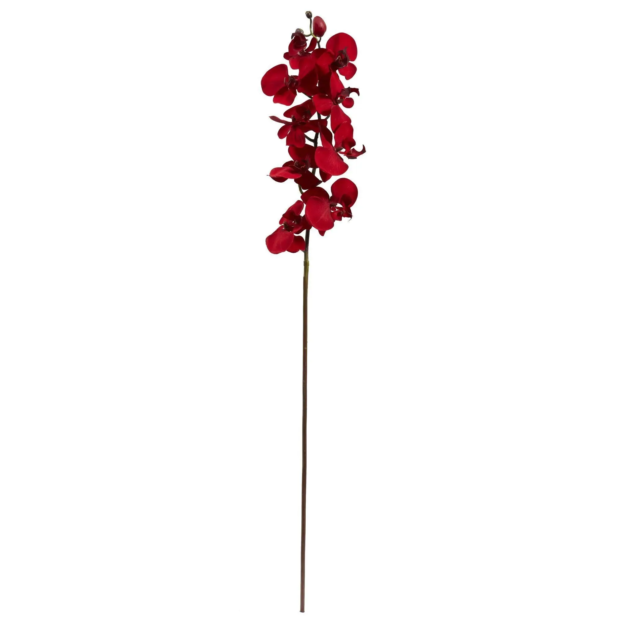 4-Piece 36 in Giant Artificial Phalaenopsis Orchid Set - Artificial Flower Decoration, House Decor Centerpiece, Living Room Decor