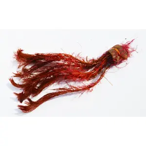 Myriophyllum tuberculatum (INSANE Red Aquarium Plant)