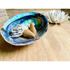 Abalone Shell || Large