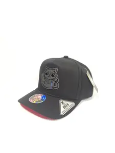 Gorra Imagen Mapache, Black Snapback with Imagen Mapache, Gorra de Mapache de alta calidad, Mapache Hat