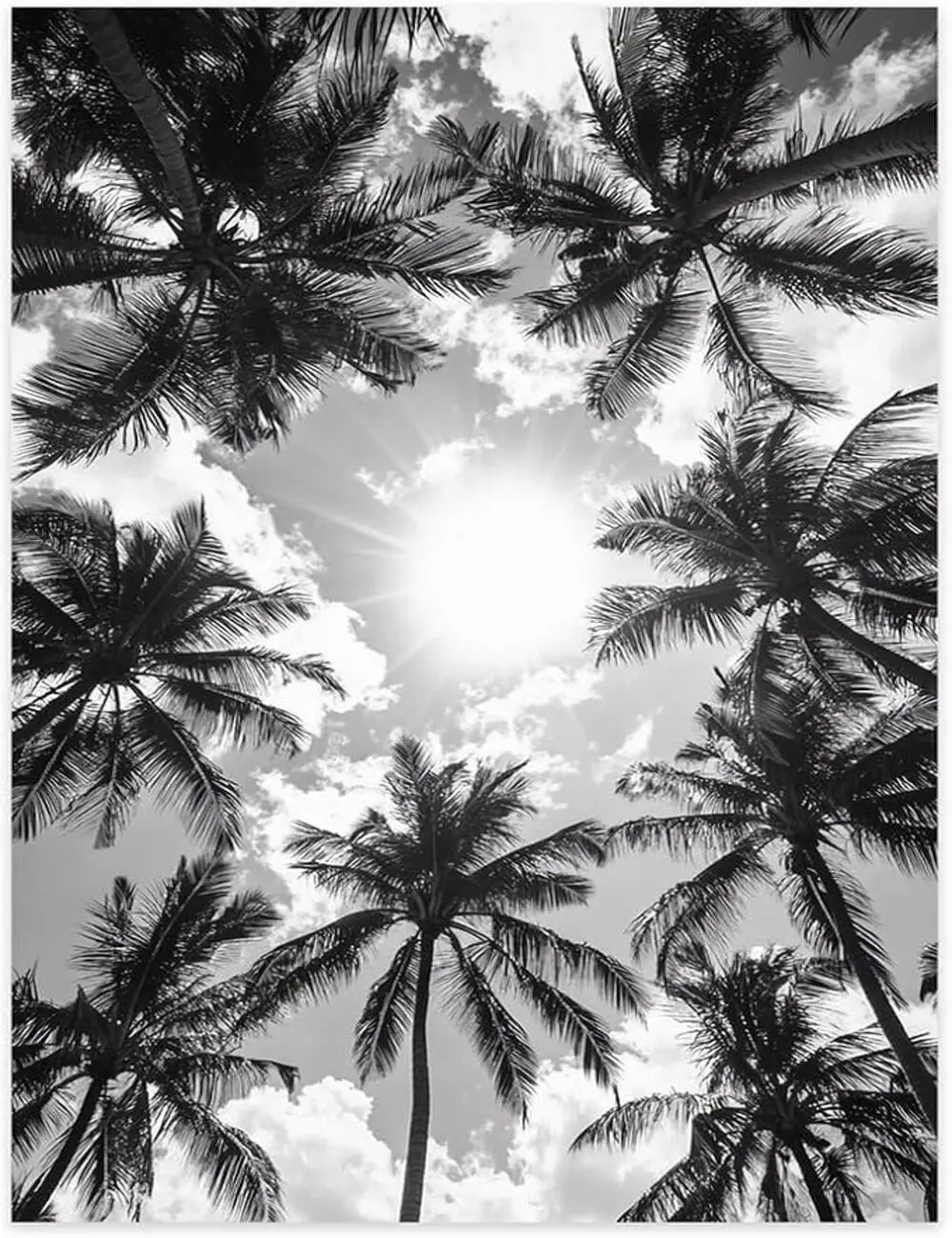 Black And White Palm Tree Wall Art, Tropical Canvas Print, Modern Palm Tree Poster, Minimalist Botanical Wall Decor, Monochrome Photography Print, Coastal Home Decor, Living Room Bedroom Bathroom Office Artwork, Beach House Decoration, Nature Wall Art