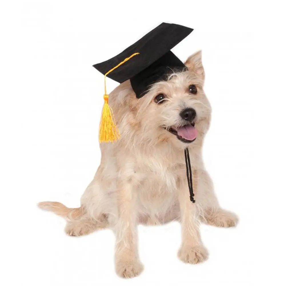 Graduation Cap Graduation Cap