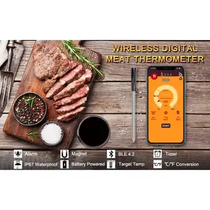 Truly Wireless Bluetooth Meat Thermometer Truly Wireless Bluetooth Meat Thermometer