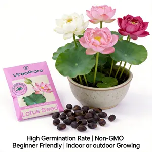 20+ Pcs Mixed Color Bowl Lotus Seeds - Water Lily Flower Seeds, High Germination, Soilless Hydroponic, Easy Grow Indoor Outdoor Home Garden Pond Decor