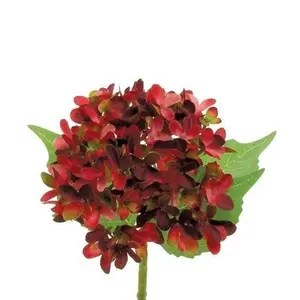 FRESH CUT HYDRANGEA, 13", RED/GREEN