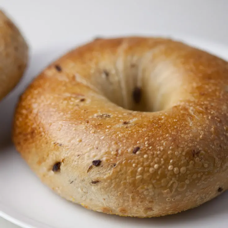 Kalamata Olive Bagels fresh from New York City - Kosher, Vegan 2-Day Shipping Included