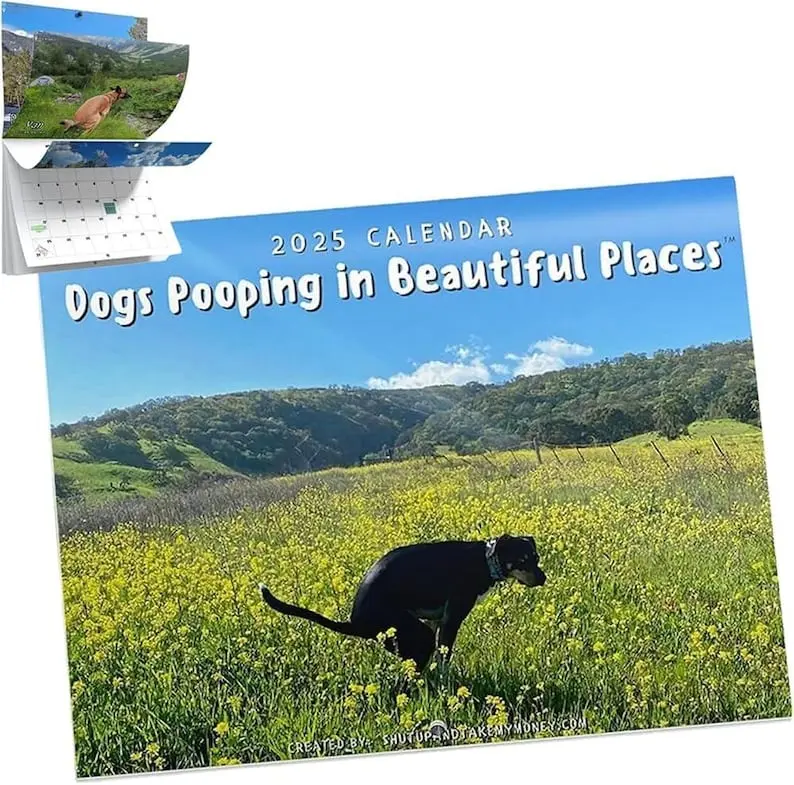 2025 Calendar Dogs Pooping in Beautiful Places - Perfect Humorous Gift, Funny Calendar, Funny Dog Calendar