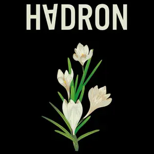 Autographed Copy of Hadron by Andrew Wonacott - Hardcover edition