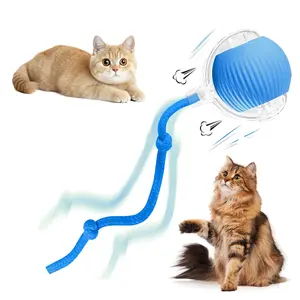 Interactive Cat Toy Ball: Automatically rolling electric ball, suitable for indoor cats/dogs, bringsthe fun of chasing tails. Motion sensing, keeps pets busy and enjoys rich sports stimulation. Great pet gifts/supplies.