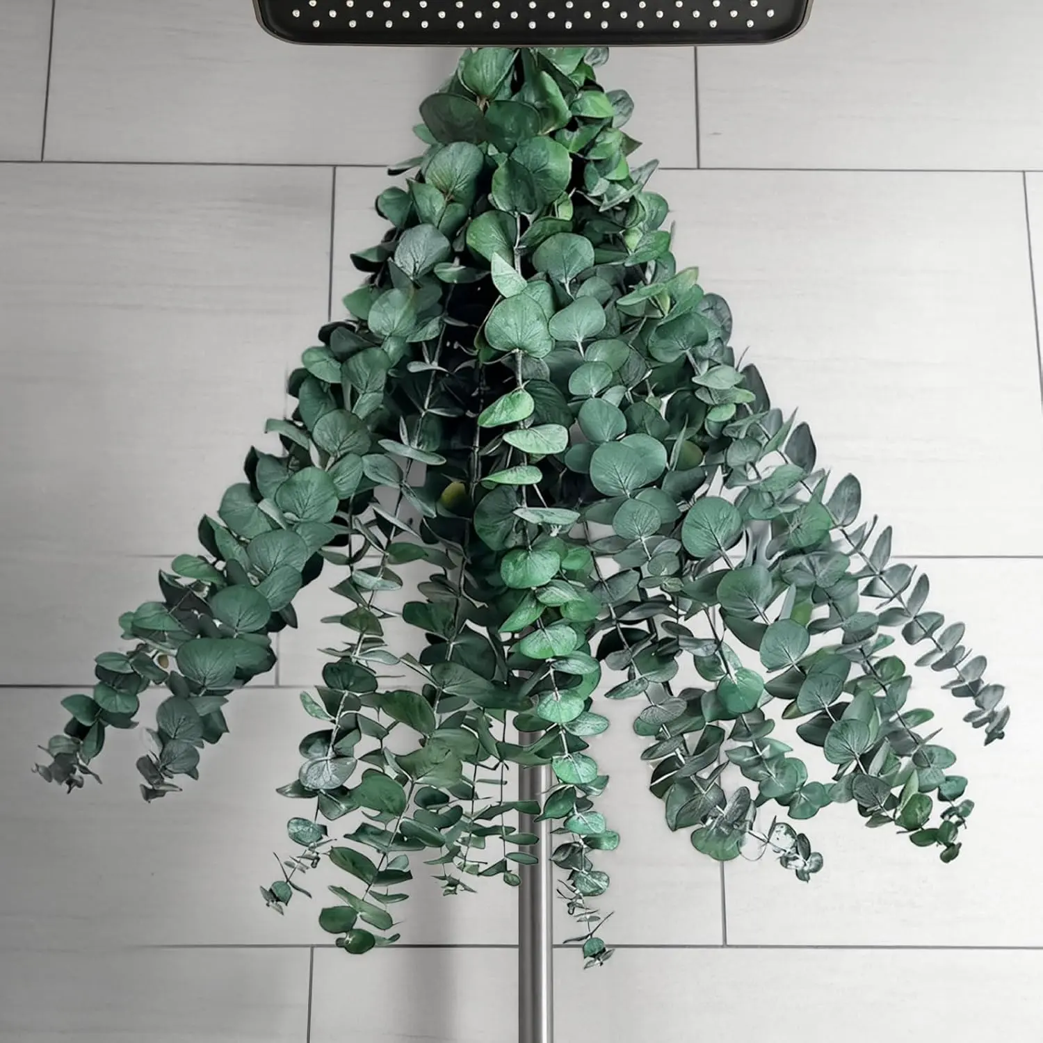 20 PCS Dried Eucalyptus Stems for Shower Hanging, 100% Made from Fresh Leaves, 17" Preserved Eucalyptus for Vase Filler, Wedding, Farmhouse, Bathroom, Home & Spa Decor