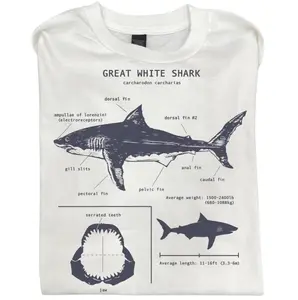Vintage Style Great White Shark Anatomy Marine Ocean Life Graphic Tshirt, Funny Animal Tee, Gift Shirt, Cotton Comfort Crewneck Top Basic Fit Casual Streetwear Womenswear Menswear