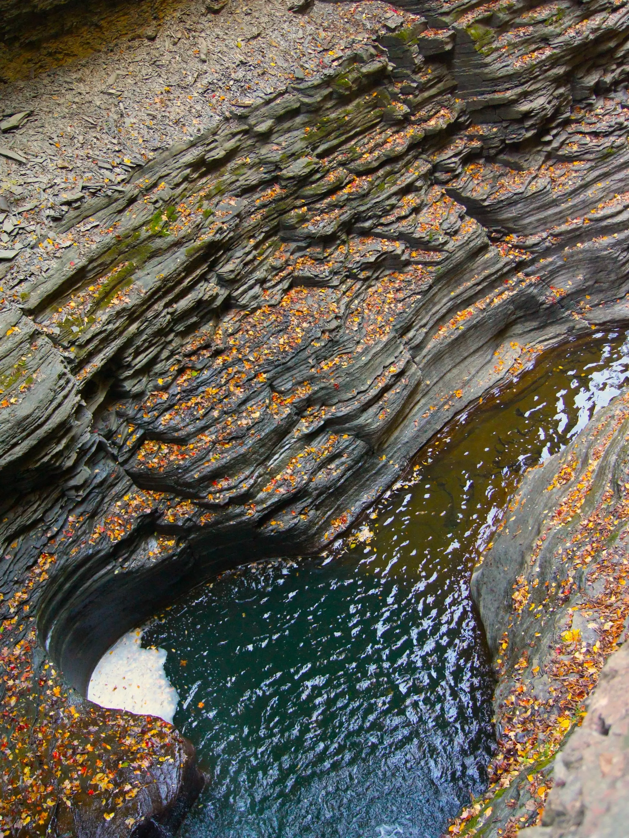 Water Photograph