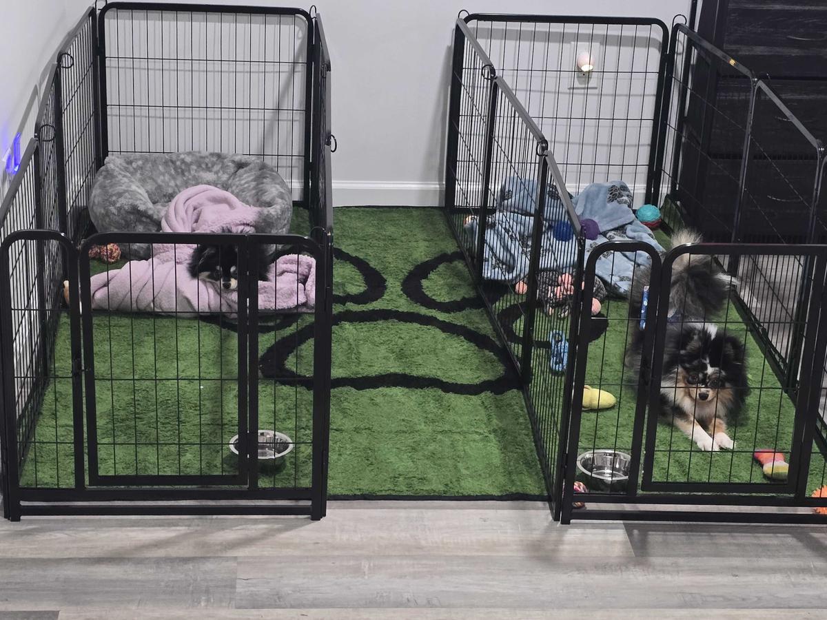 Item: 8 Panels-24 inch