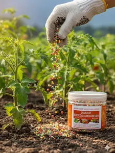 Granular Boron Calcium Magnesium Plant Universal 200g Slow-Release Trace Element Water-Soluble Fertilizer for Fruits Vegetables & Agriculture Nutrient-Rich Easy Application