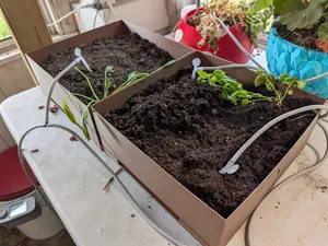 Plant Box – Modern Minimalist Planter – Indoor Desk Planter for Succulents & Herbs