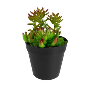 Northlight 8" Artificial Mixed Succulent PlantArrangement