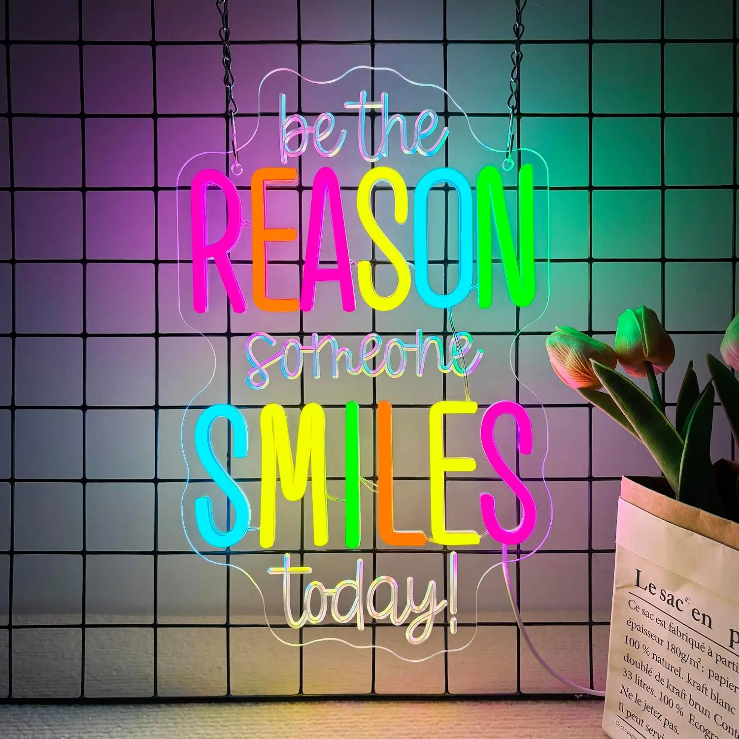 Be The Reason Someone Smiles Today Neon Sign, Motivational Neon Light USB Powered LED Dimmable Inspirational Sign, for Classroom Office Bedroom Living Room Wall Decor(15.7 * 9.8 In)