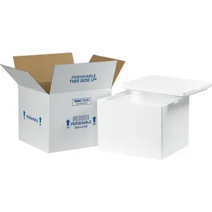 Box Packaging B39907 12 x 10 x 9 in. Foam Insulated Shipping Kit, White