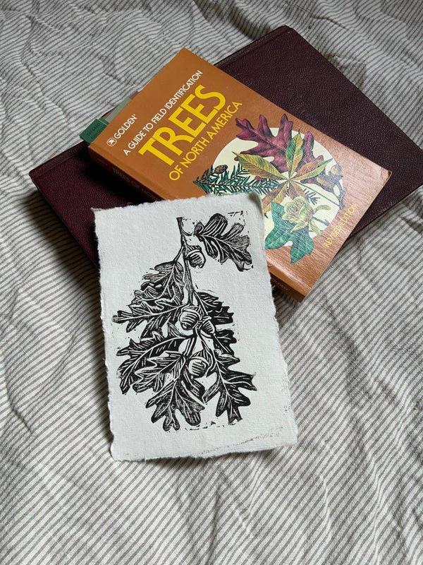 Natural Endangered White Oak Leaf Print Handcrafted Linocut 5x7 Inches Handmade Deckled Edge Linen Paper Minimalist Design Wall Decor Unique Lino Artwork for Conservationists