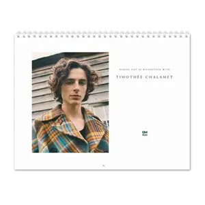 Soft Cactus Timothée Chalamet Vol.4 - 2025 Wall Calendar 2025 Calendar Wall Calendars Wall Hanging Calendar