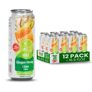 VINUT Ginger Honey & Lime Juice Drink 85% Real Juice No Added Sugar 16.9 fl oz 500 mL Can 6/12/24 Pack Natural Beverage