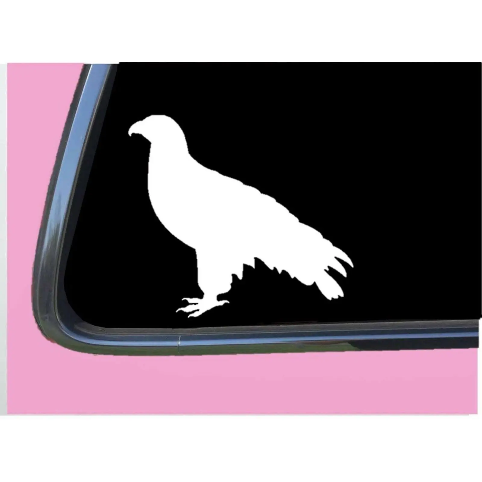 Falcon Plain TP 623 Sticker 6" Decal falconry hawk birds of prey equipment