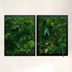 Rectangular Framed Forest Organic Moss Wall Art Sets