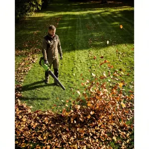 COZONY 20V Cordless Leaf Blower & String Trimmer Combo, 550CFM Blower, 12" Trimmer, 2 Batteries & Charger