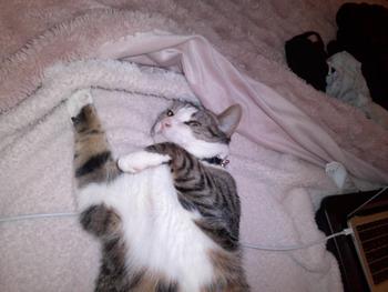 product review image from k**e 0